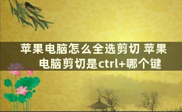 苹果电脑怎么全选剪切 苹果电脑剪切是ctrl+哪个键